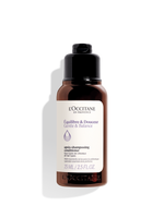 Gentle & Balance Conditioner - Illustration 1