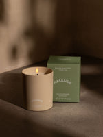 Almond Candle - Illustration 2